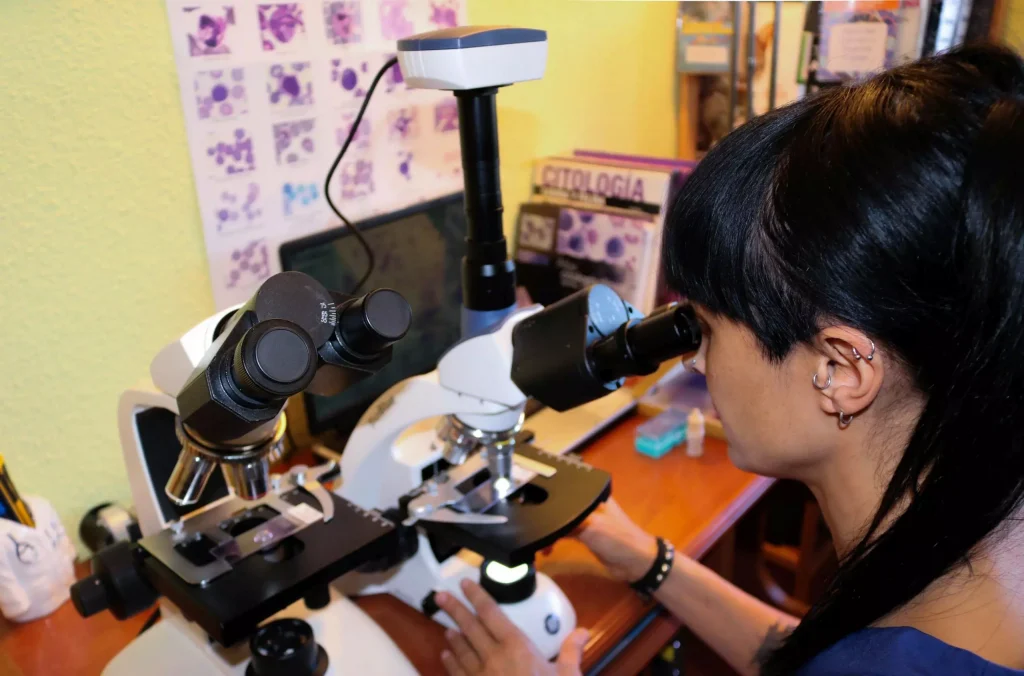 Veterinaria realizando un diagnóstico