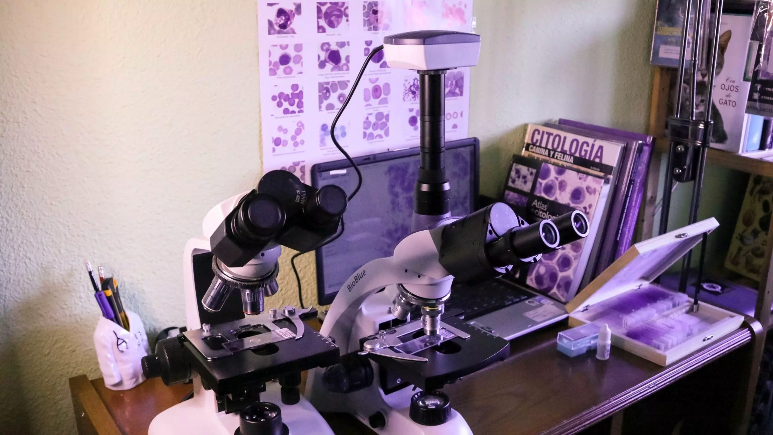 microscopio de citología felina y canina