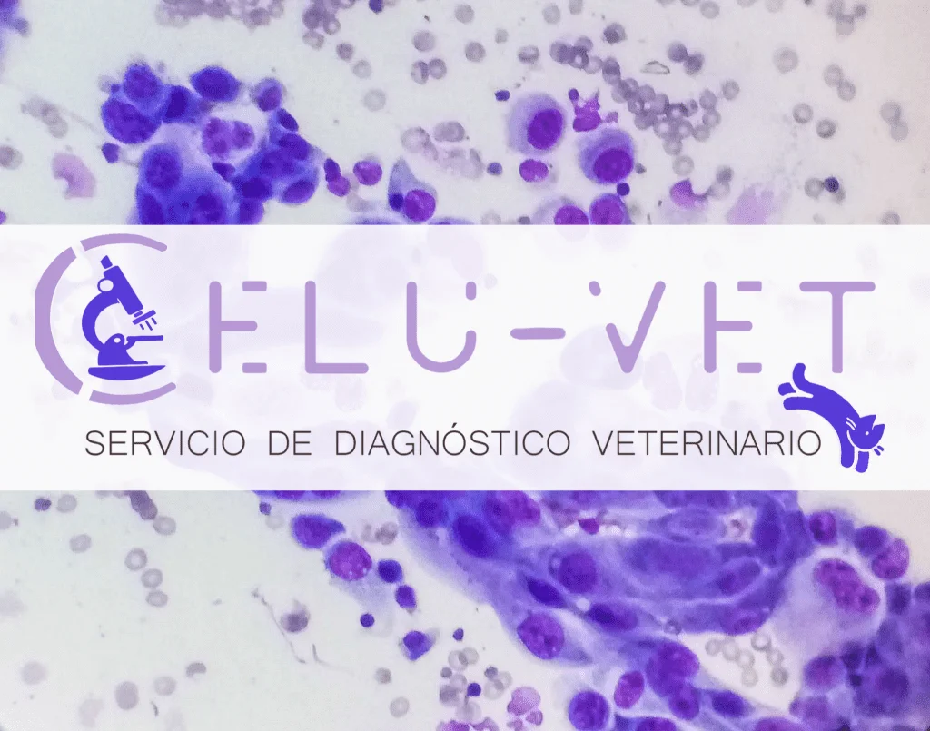 portada celuvet