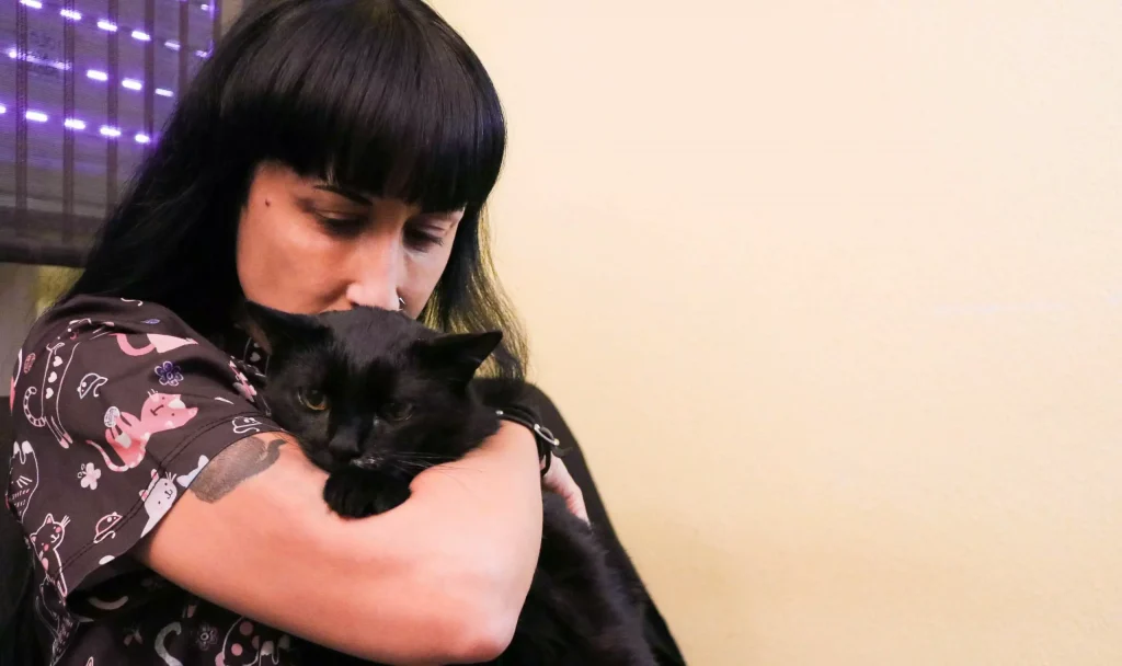 atención médica a felinos